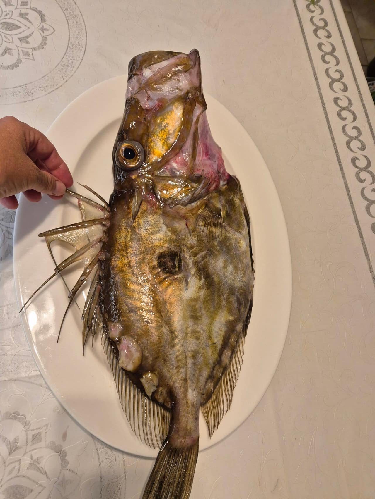 The day’s catch, before it goes on the grill