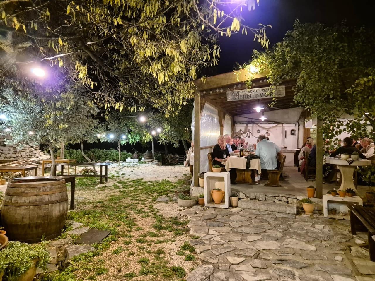 The terrace after dark, lit beneath the trees