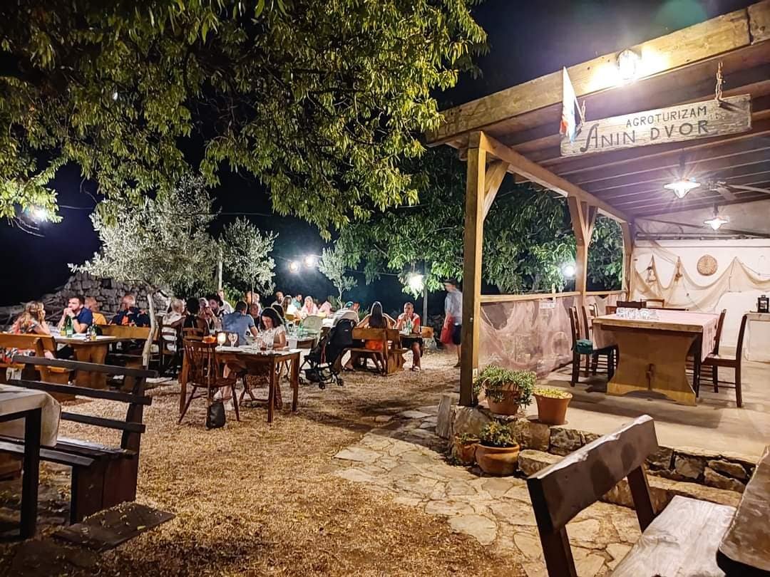 An evening on the terrace — guests at the long tables under the pergola