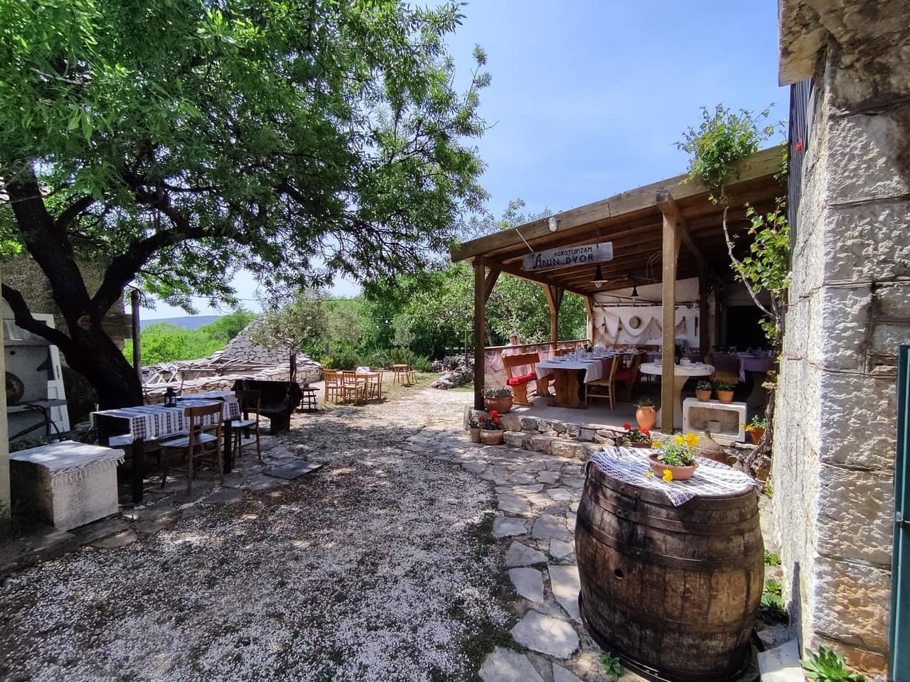 Tables set out under the olive trees